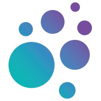 Schmidt AI in Science Fellows logo